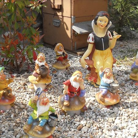 הוילה וליג'יו סול מיניציו Agriturismo Le Mura Del Gherlo מראה חיצוני תמונה