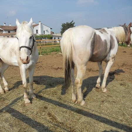 הוילה וליג'יו סול מיניציו Agriturismo Le Mura Del Gherlo מראה חיצוני תמונה