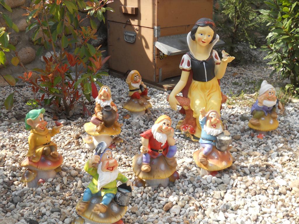 הוילה וליג'יו סול מיניציו Agriturismo Le Mura Del Gherlo מראה חיצוני תמונה
