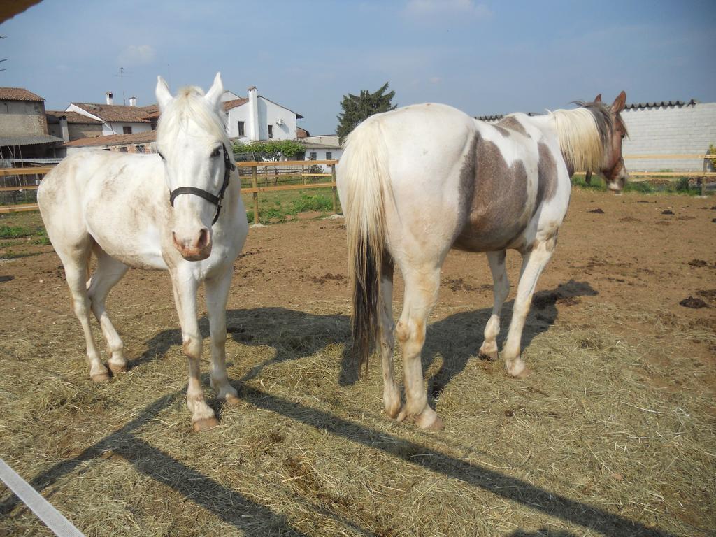 הוילה וליג'יו סול מיניציו Agriturismo Le Mura Del Gherlo מראה חיצוני תמונה