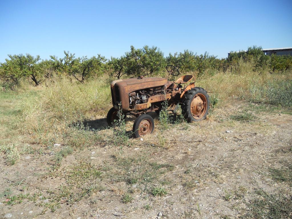 הוילה וליג'יו סול מיניציו Agriturismo Le Mura Del Gherlo מראה חיצוני תמונה