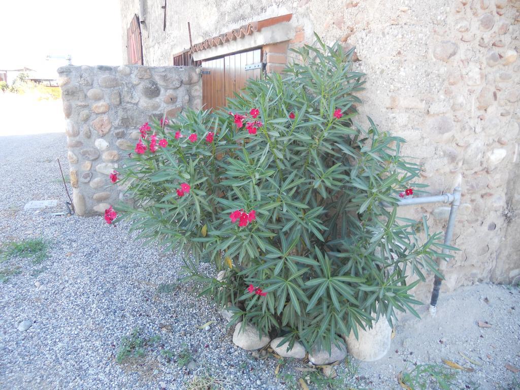 הוילה וליג'יו סול מיניציו Agriturismo Le Mura Del Gherlo מראה חיצוני תמונה